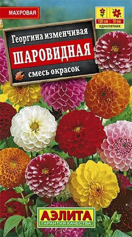 Семена Георгина Шаровидная, смесь (однолетние) (Аэлита) 0,2г