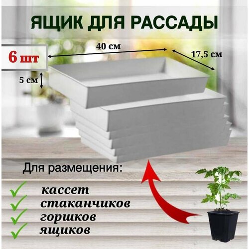 ЯщикП для выращивания рассады, цветов, поддон, 6 шт дезинфекционный ящик для дезинфекции кассет стерилизатор