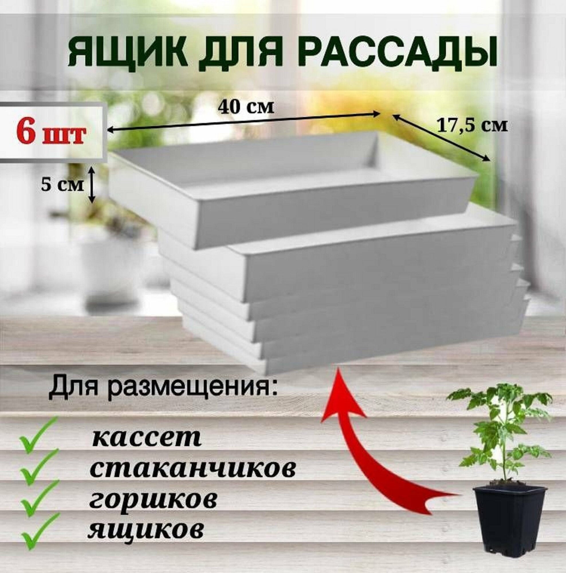 ЯщикП для выращивания рассады, цветов, поддон, 6 шт - фотография № 1