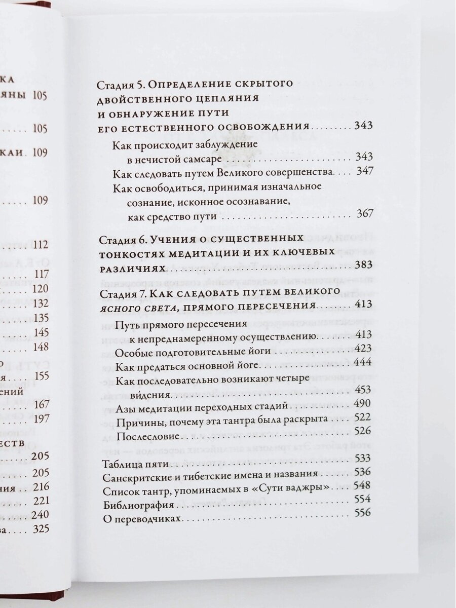 Суть ваджры. Провидческие откровения Великого совершенства Дуджома Лингпы. Том 3 - фото №7