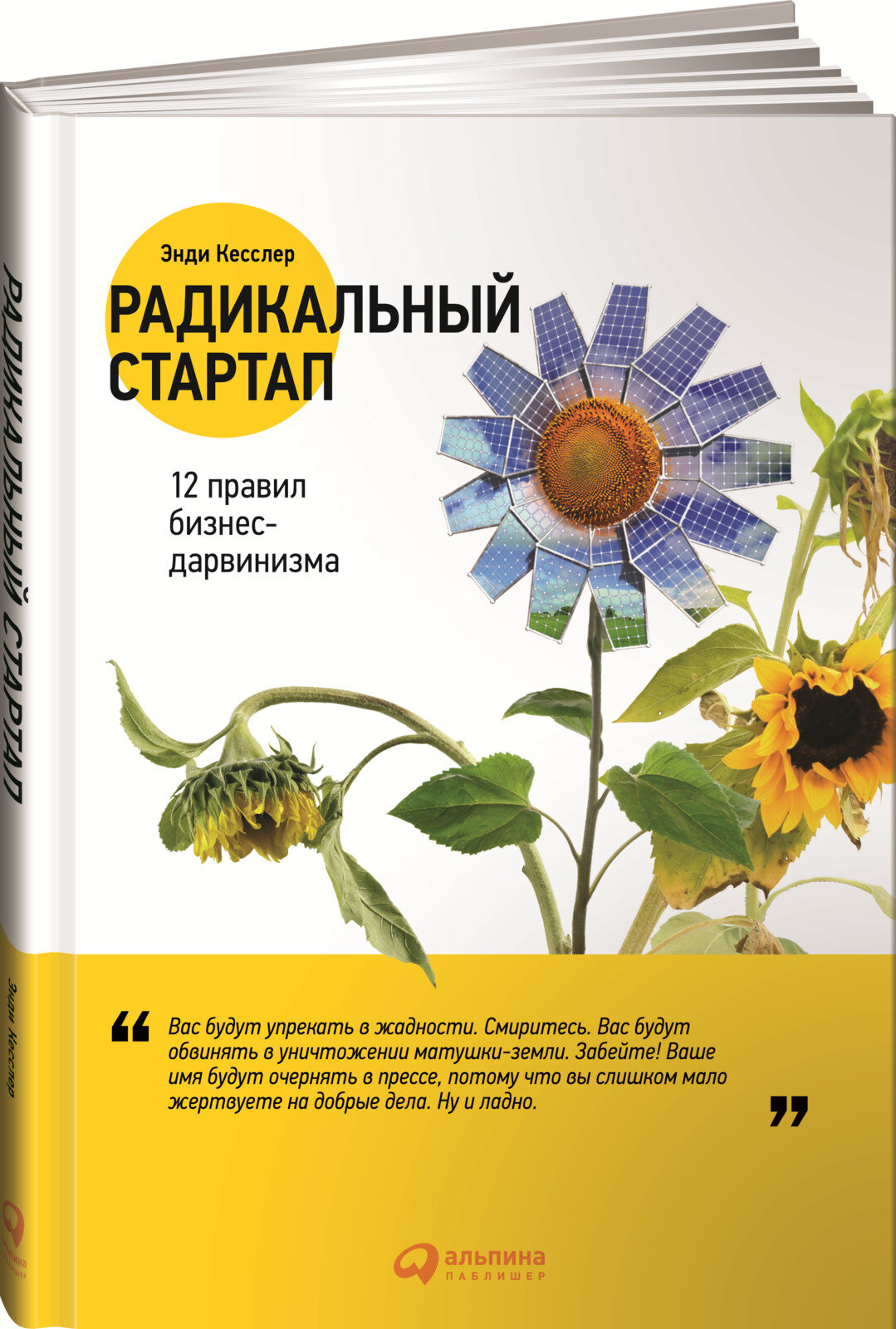 Книга: Радикальный стартап. 12 правил бизнес-дарвинизма / Энди Кесслер