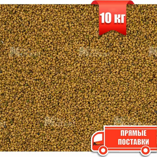 Семена Донник желтый сидерат чистота 98%, био-удобрение, 10 кг