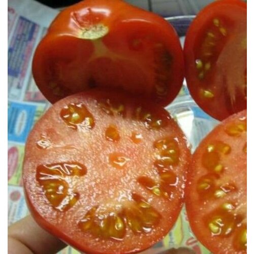 Коллекционные семена томата Тая