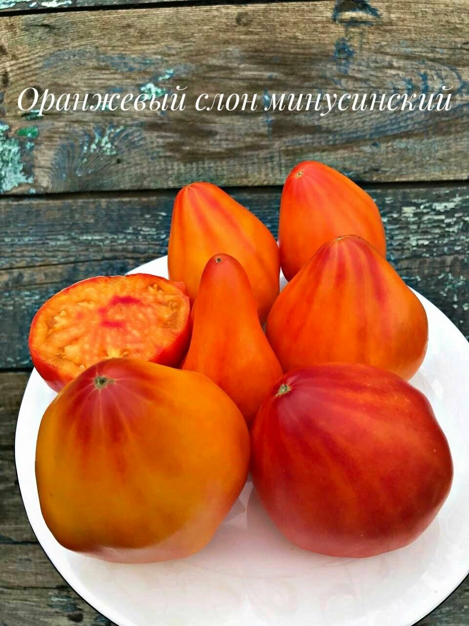 Коллекционные семена томата Оранжевый слон Минусинский