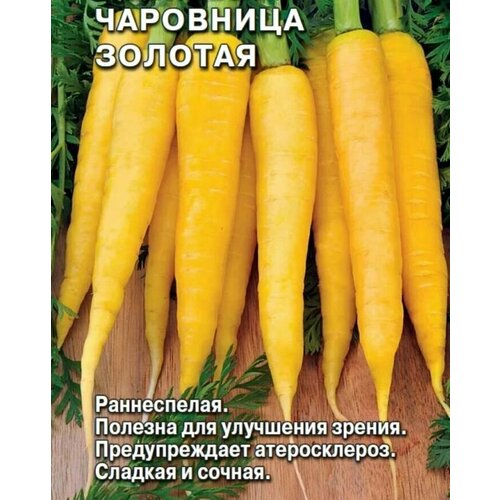 Коллекционные семена моркови Чаровница Золотая