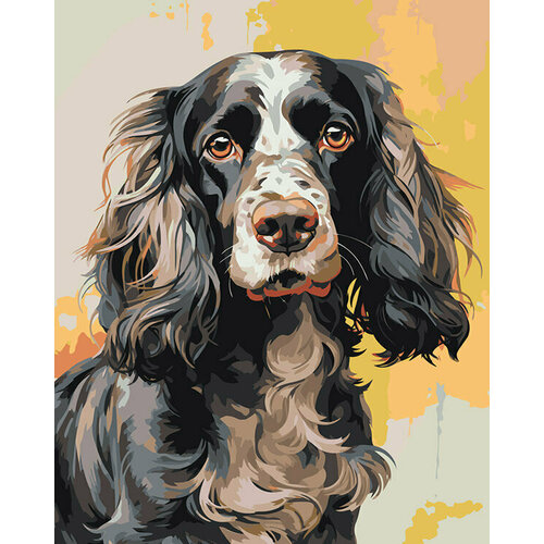 Картина по номерам Собака Спаниель черная с белым 40x50 картина по номерам собака спаниель черная 40x50