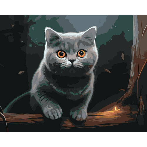 Картина по номерам Британский кот в темном лесу раскраска по номерам британский кот