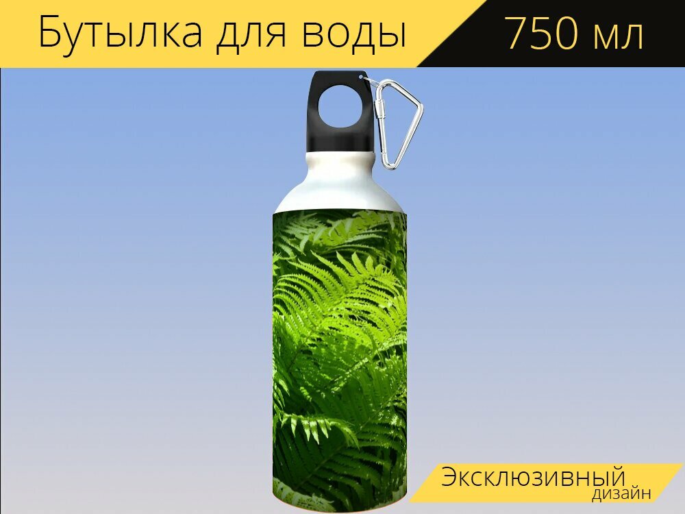 Бутылка фляга для воды "Папоротники, зелень, солнечные лучи" 750 мл. с карабином и принтом