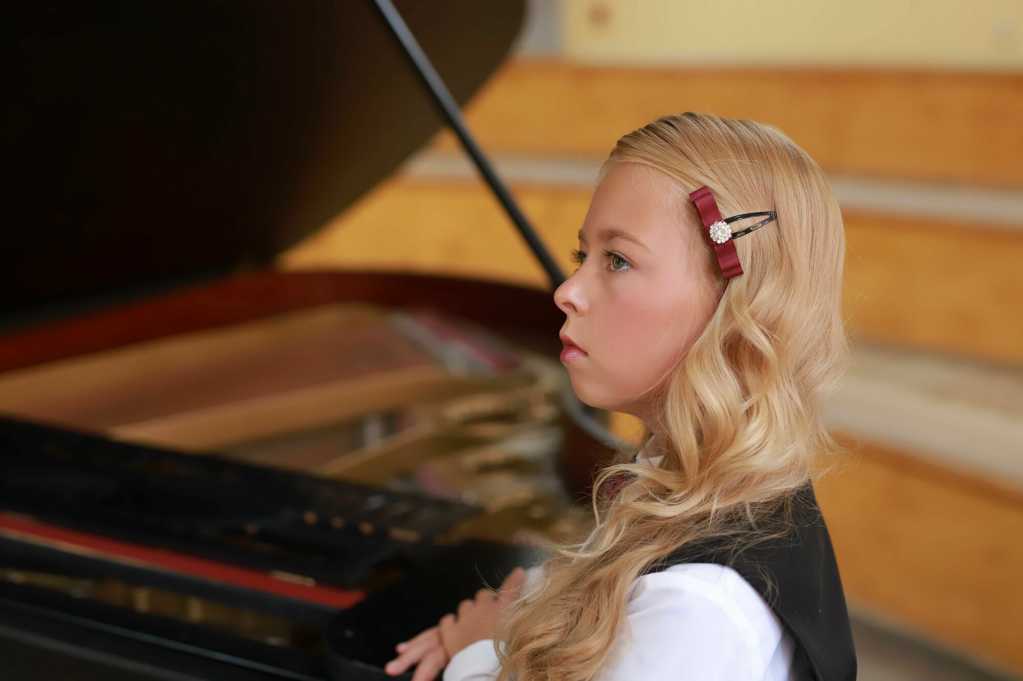 Заколка малая 2 шт Андерсен Кантата — фото 1