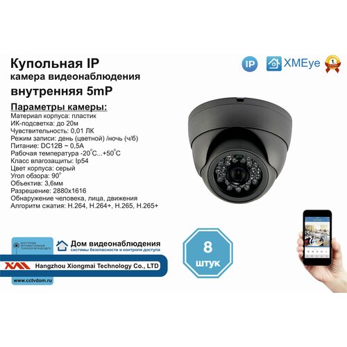 (8шт) DVS300IP5MP. Внутренняя IP камера 5мП с ИК до 20м.