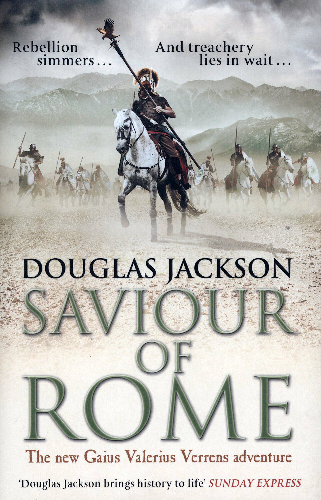Saviour of Rome / Книга на Английском - фото №1