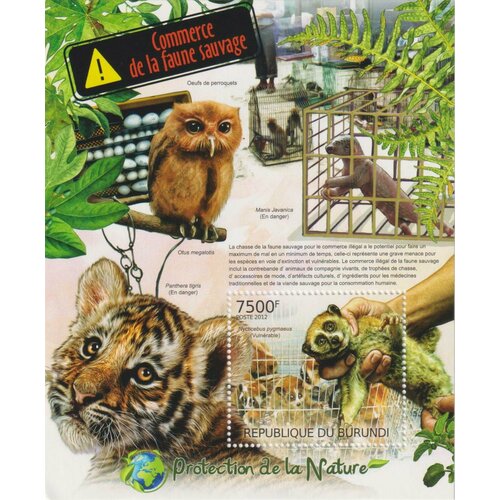 Почтовые марки Бурунди 2012г. Защита природы - торговля дикой природой Киты, Морская фауна MNH
