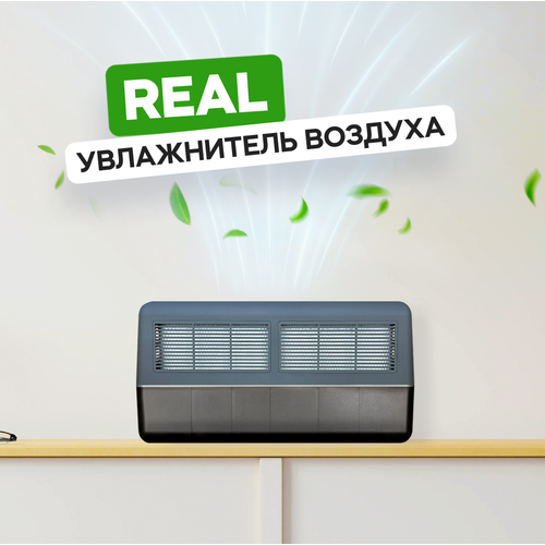 Увлажнитель-мойка воздуха Real Anthracite 2499000₽