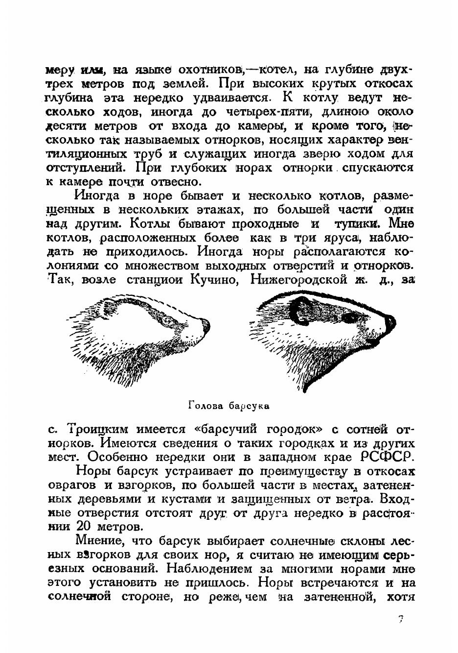 Книга Охота на барсука (Каверзнев Валерий Николаевич) - фото №5