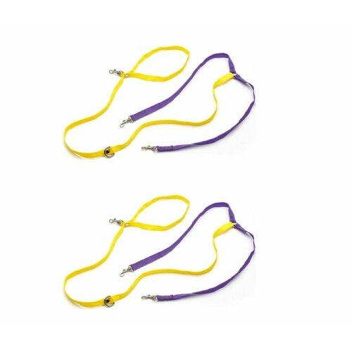 RichPet Поводок-перестежка Арлекино для двух собак 2-х цветная капрон 12мм х 100-160см 2 шт 901₽