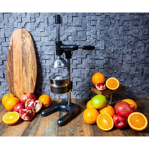 Соковыжималка-пресс Damiral 1705 для цитрусовых и гранатов 1226700₽