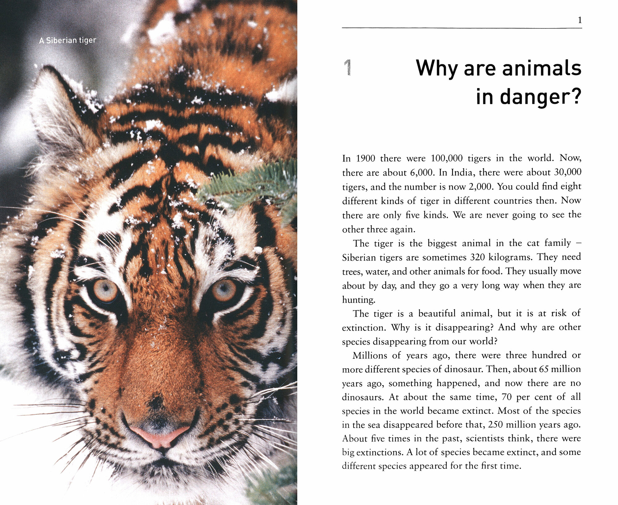 Animals in Danger. Level 1. A1-A2 - фото №3