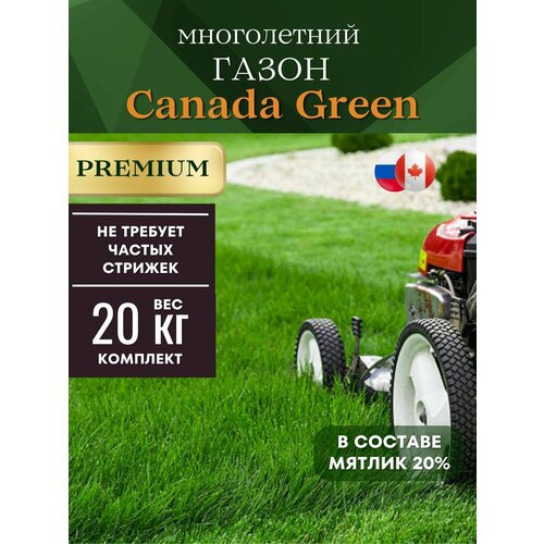 Газонная трава семена 20 кг, Газон Канада Грин "Premium" (для ленивых) на 4-4,5 сотки.