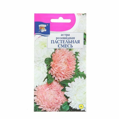 Семена цветов Астра розовидная пастельная, Смесь, 0,2 г 3 шт семена цветов астра классика смесь 0 3 г 5 упак