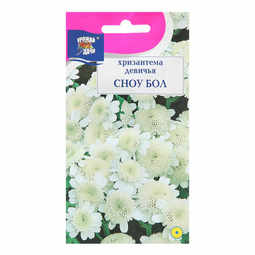 Семена цветов Хризантема девичья Сноу Бол, 0,05 г хризантема трампф ред