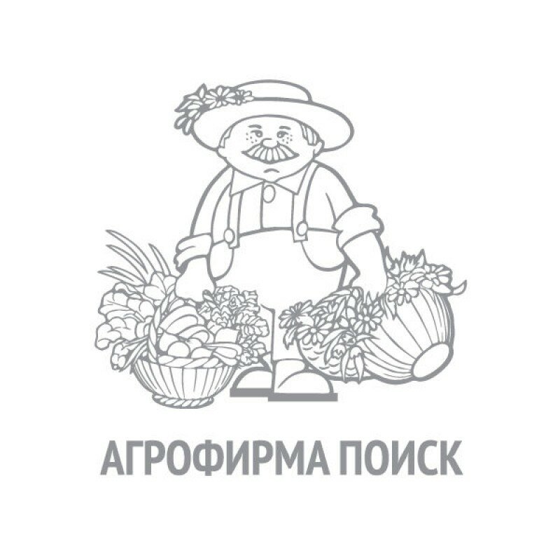 Семена Капуста белокачанная Морозко 0,5г Поздние (Поиск) Белый пакет