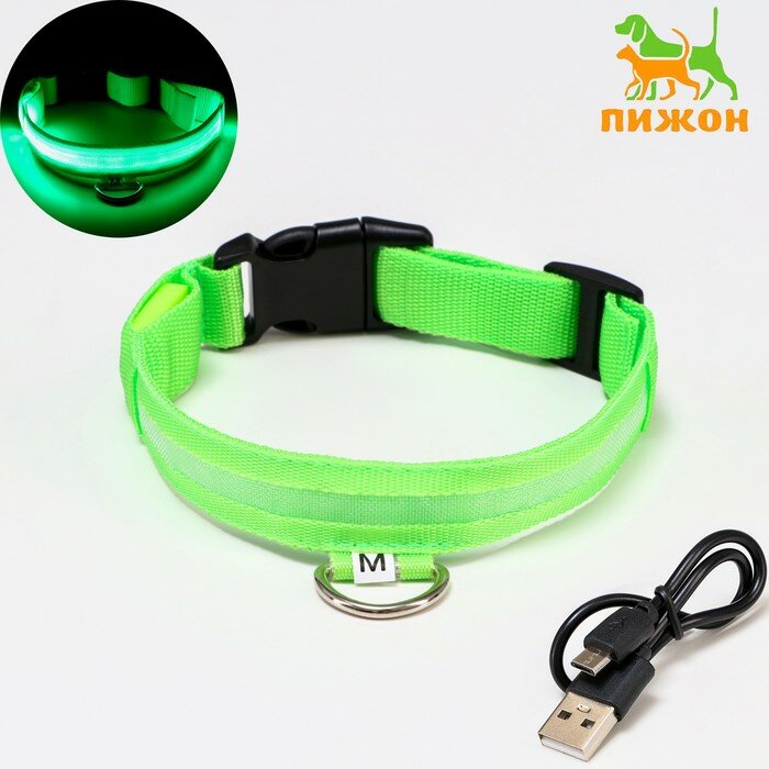 Ошейник с подсветкой Пижон зарядка от USB, до 45 см, 3 режима свечения, зеленый
