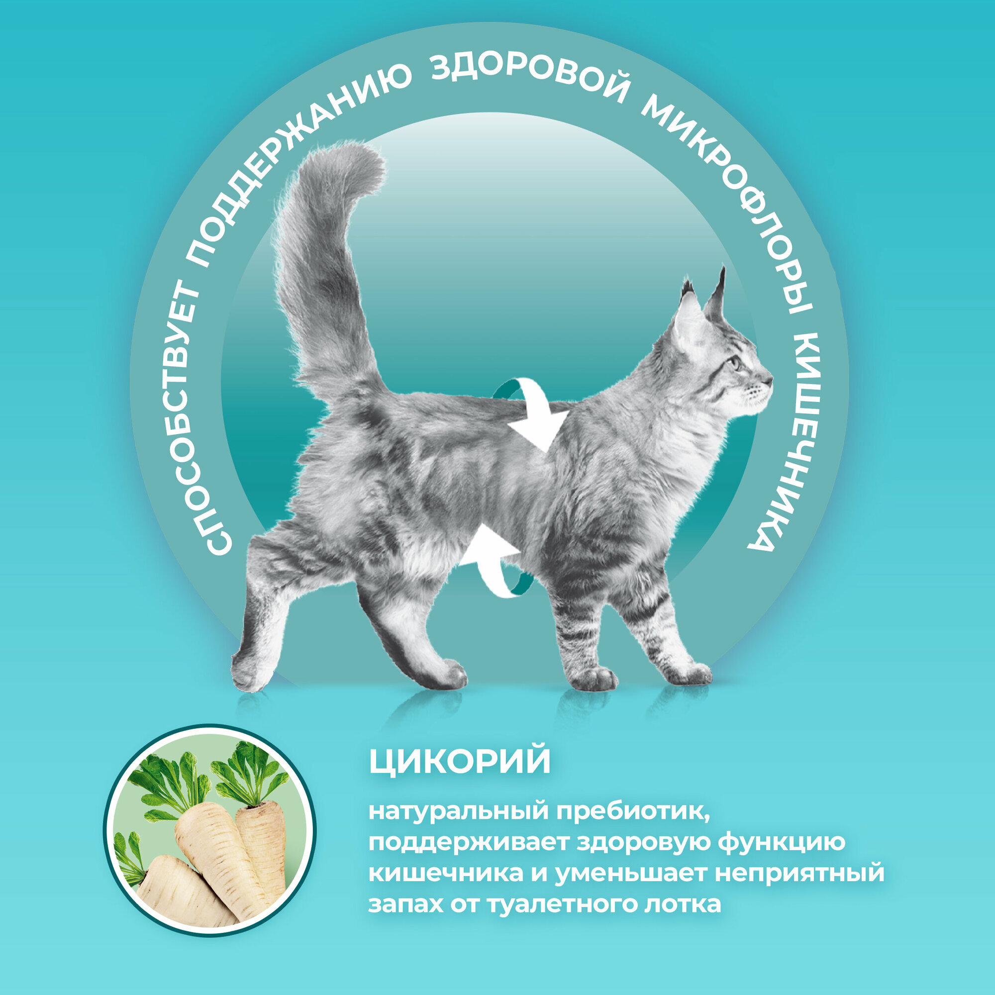 Сухой корм Purina ONE для домашних стерилизованных кошек и кастрарованных котов, с высоким содержанием курицы и цельными злаками, 1,5кг - фото №9