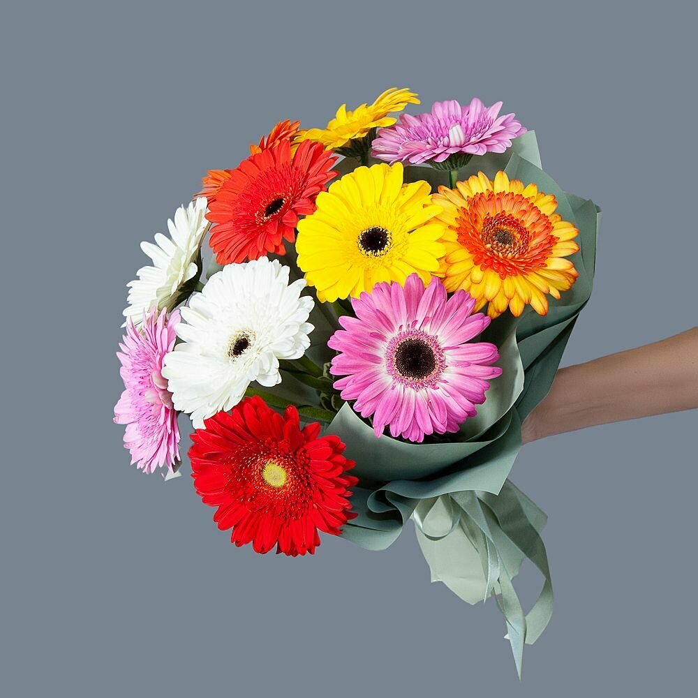 Монобукет из 11 гербер в упаковке
