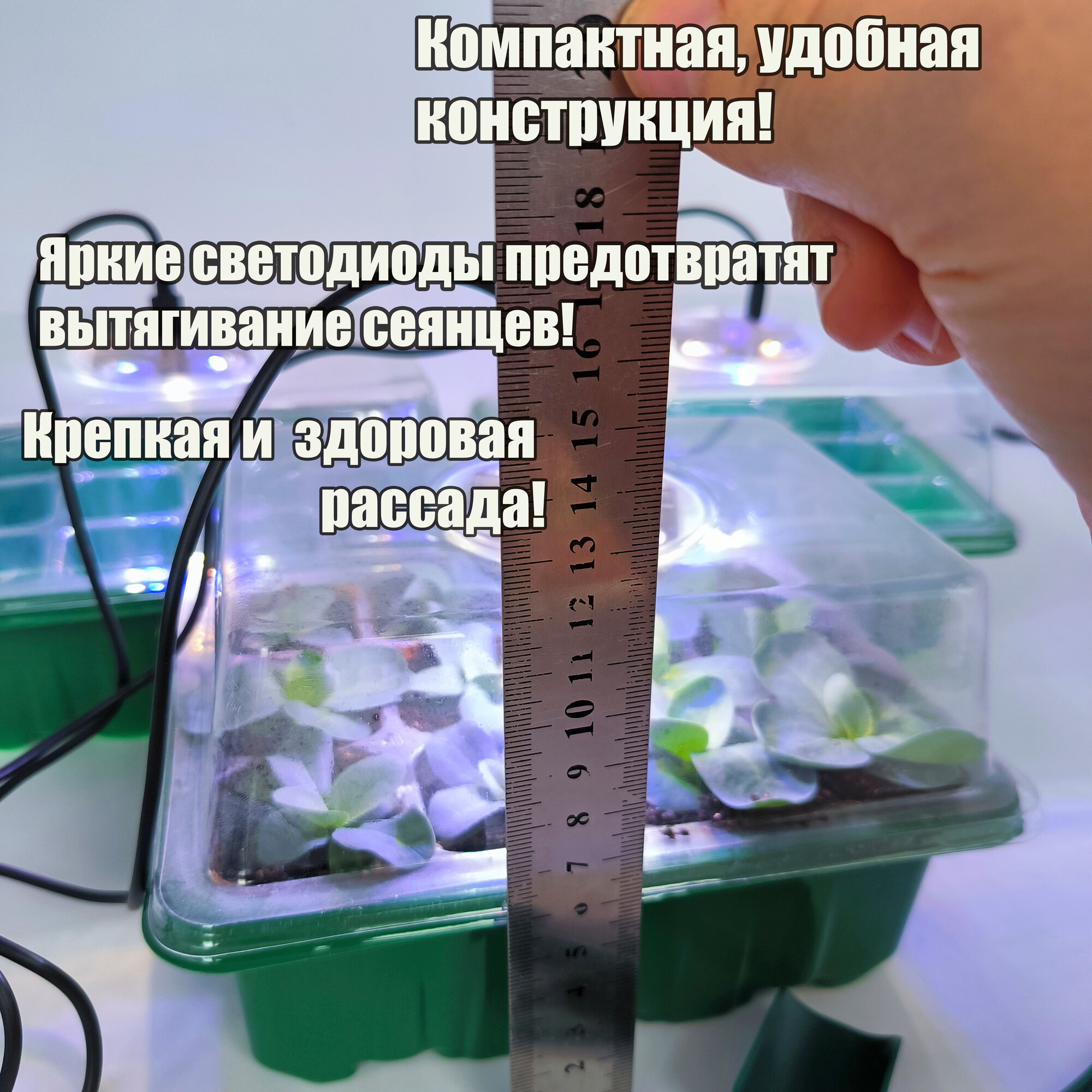 Изображение Мини парник для рассады. Мини тепличка. Встроенные светодиоды. Набор из 3 шт.