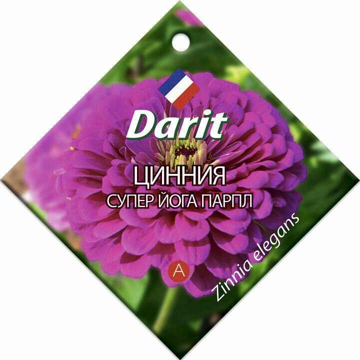 1 пакет Darit цинния Супер Йога парпл 05г георгиноцветковая
