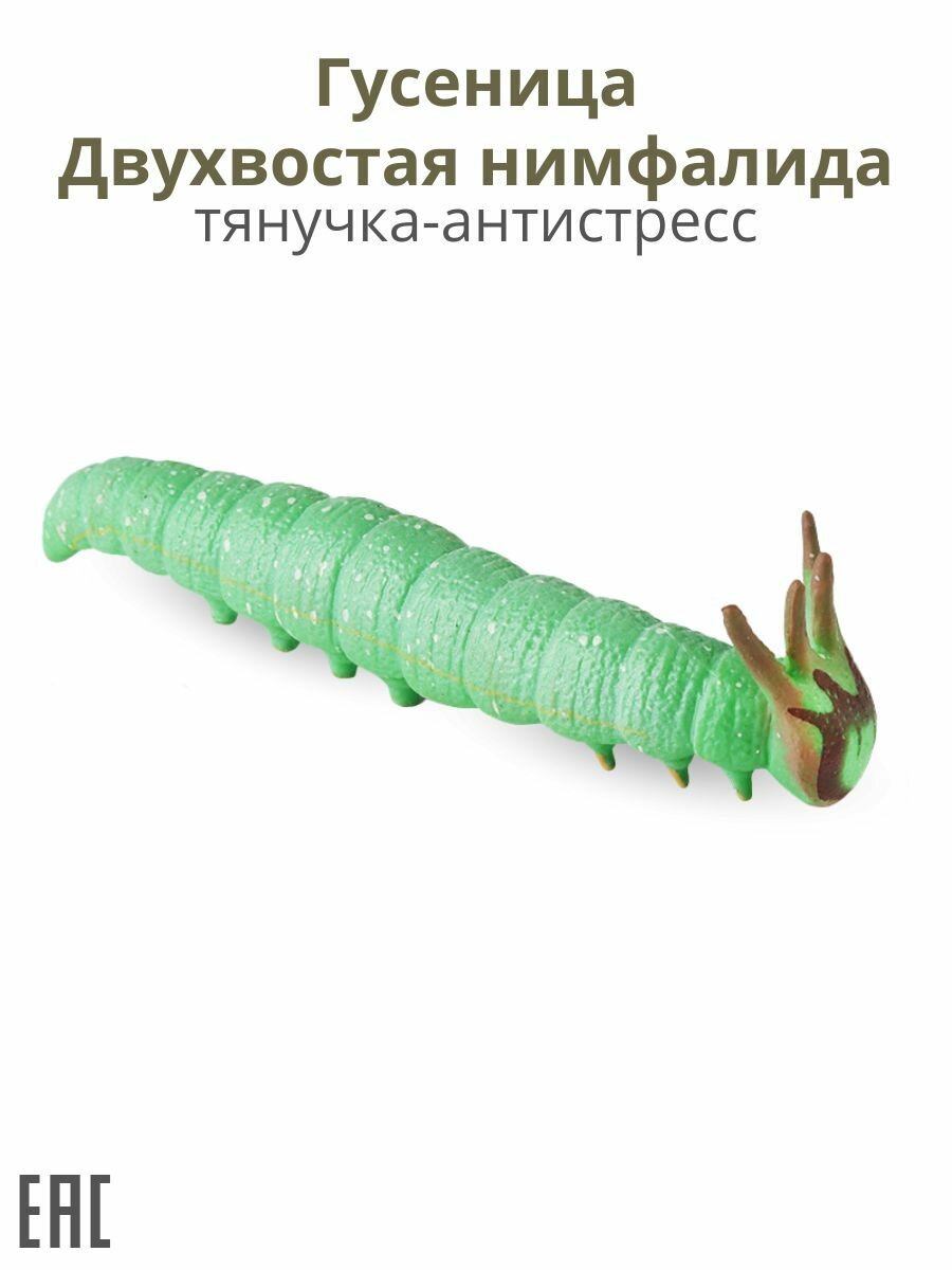 Гусеница антистресс, Двухвостая нимфалида / Игрушка антистресс гусеница