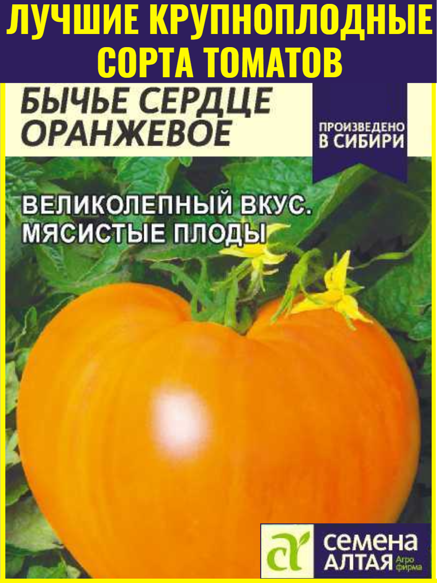 Семена круппнопплодного томата Бычье сердце (оранжевое) - 01 г. Отличные вкусовые качества
