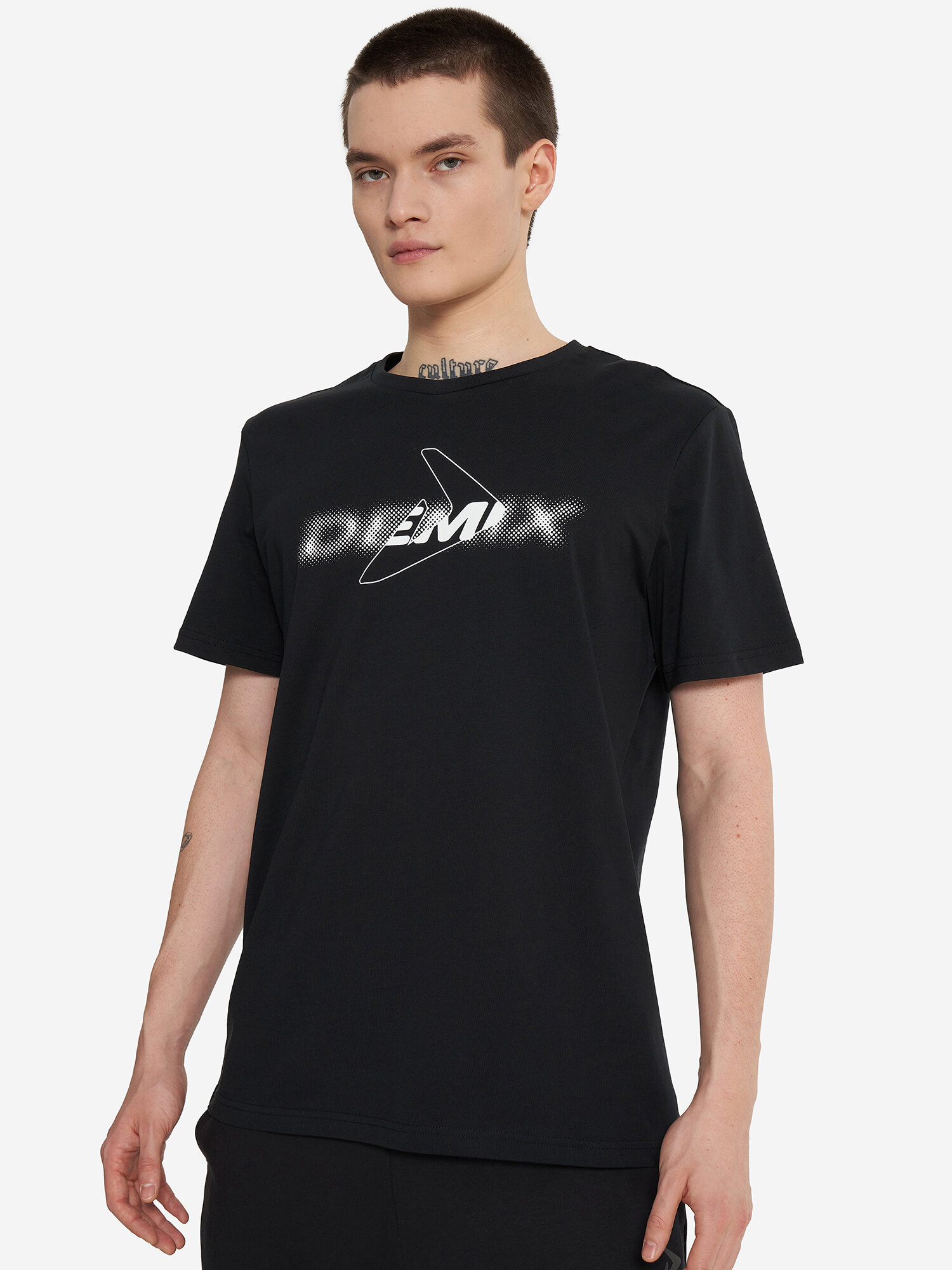Футболка Demix M D blurred logo tee