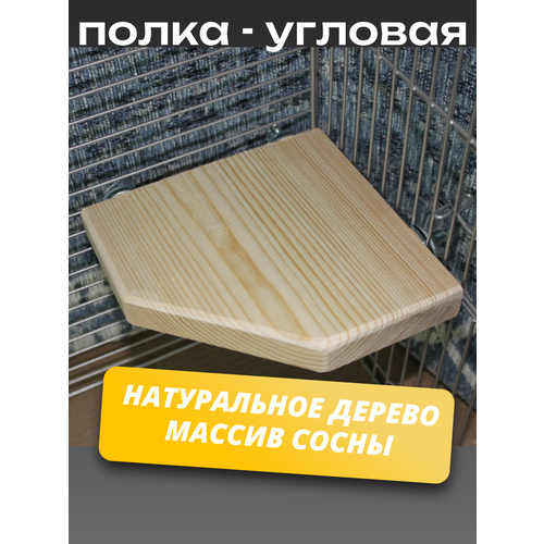 Деревянная, угловая полка в клетку для грызунов и попугай