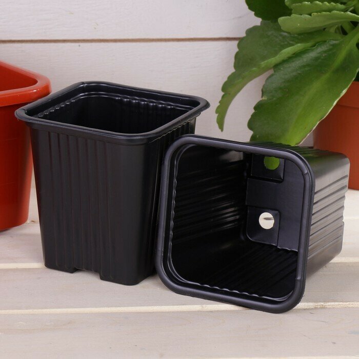 Горшочек для рассады полистирол чёрный 10х10 см 520 мл 100 штук