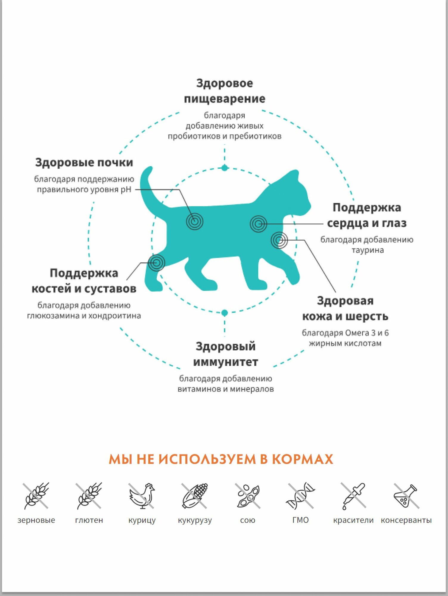 Сухой корм для кошек GRANDORF Fresh Cat KITTEN Lamb&Sweet Potato (Свежее мясо ягненка с бататом для котят) 2 кг. — фото 1