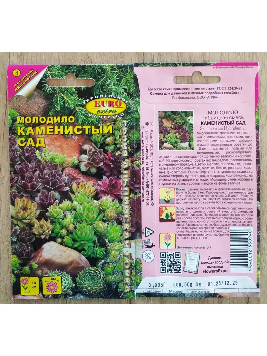 Молодило Каменистый сад смесь
