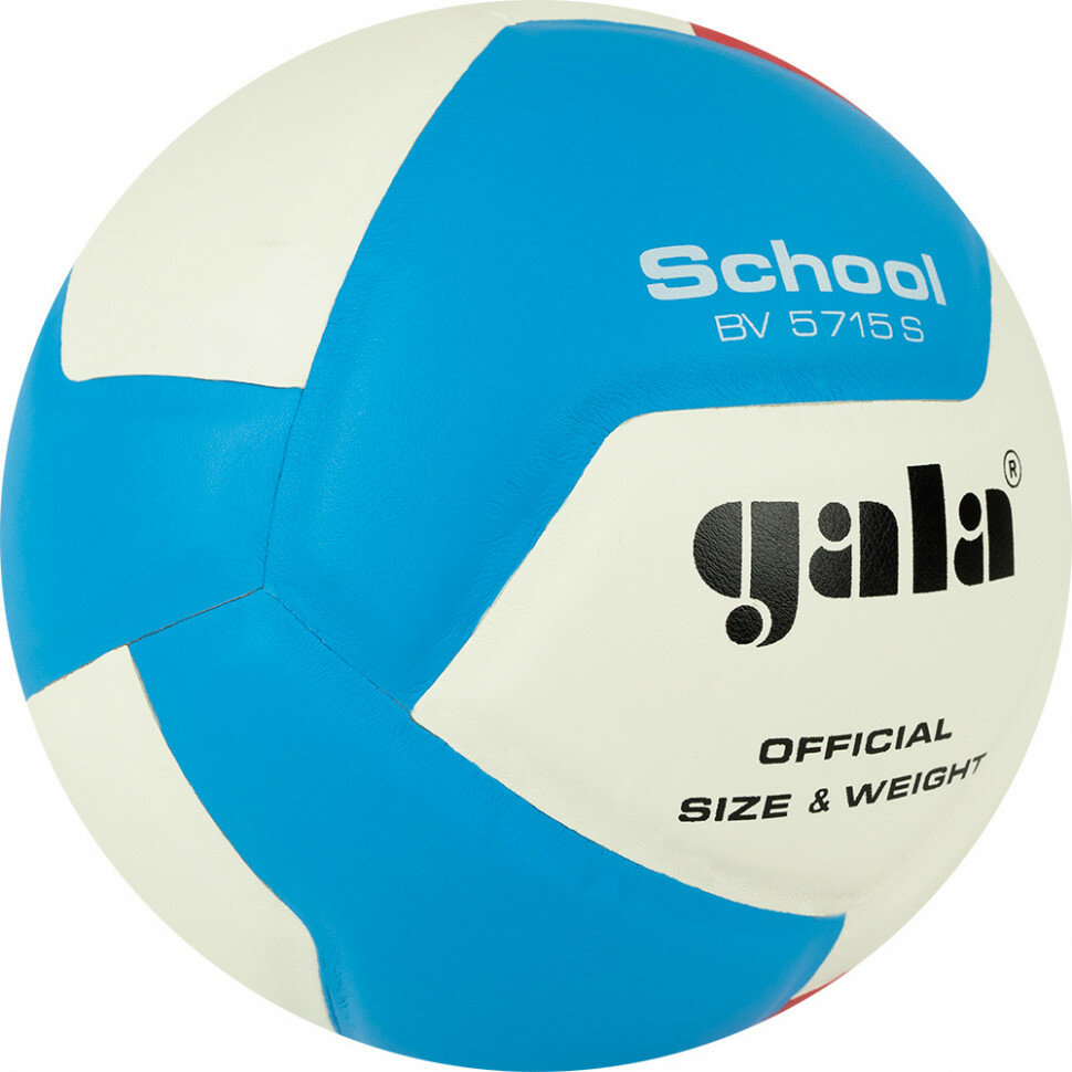 Мяч волейбольный GALA School 12 BV5715S, р. 5