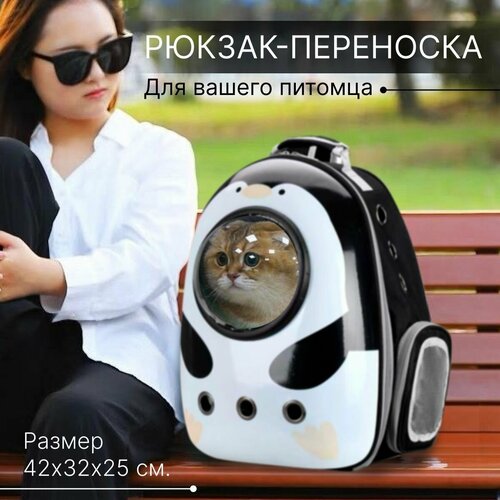 Рюкзак-переноска с анатомической спинкой/ иллюминатор для кошек и собак