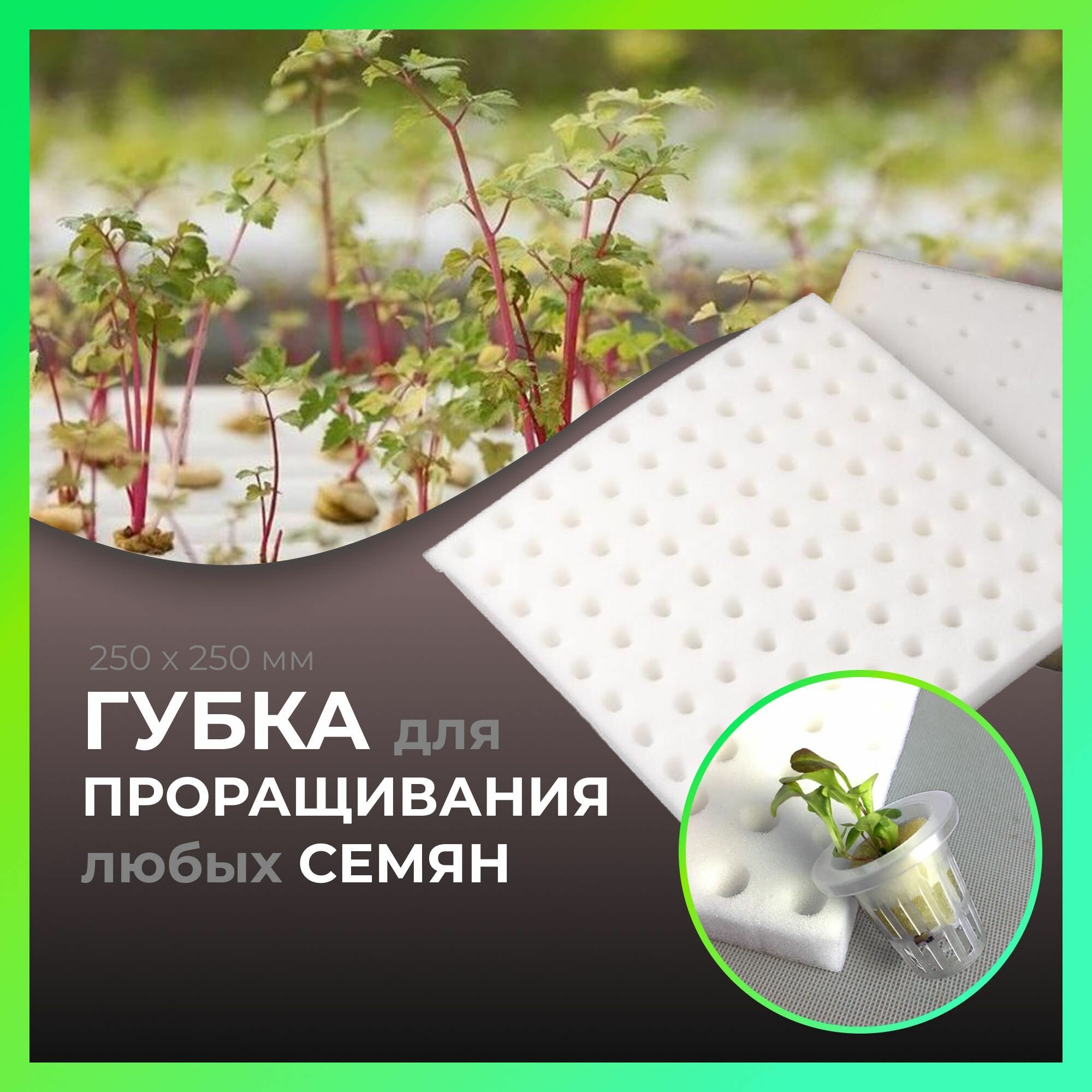 Губка для проращивания семян