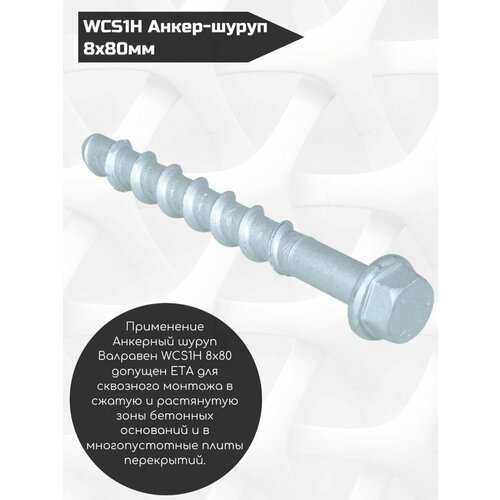 WCS1H -   8x80 6253418 Walraven