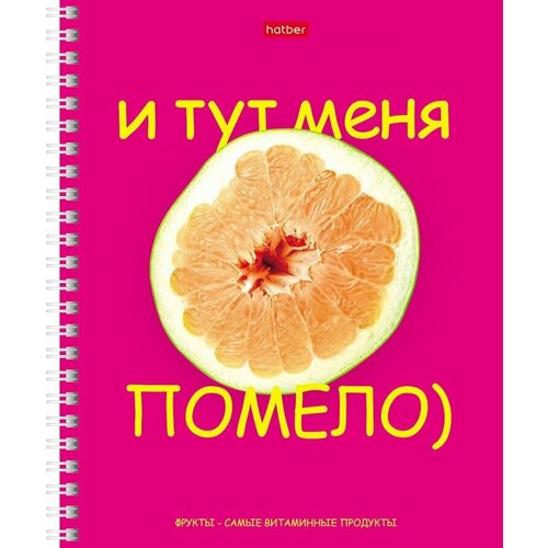 Тетрадь общая 80л, А5 Hatber Экзотические Фрукты, клетка, спираль, мелованный картон