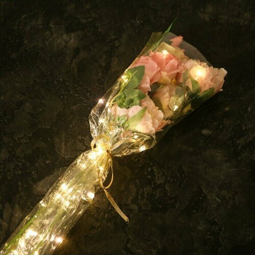 Пленка для цветов с LED- лентой 60х60 см 516₽