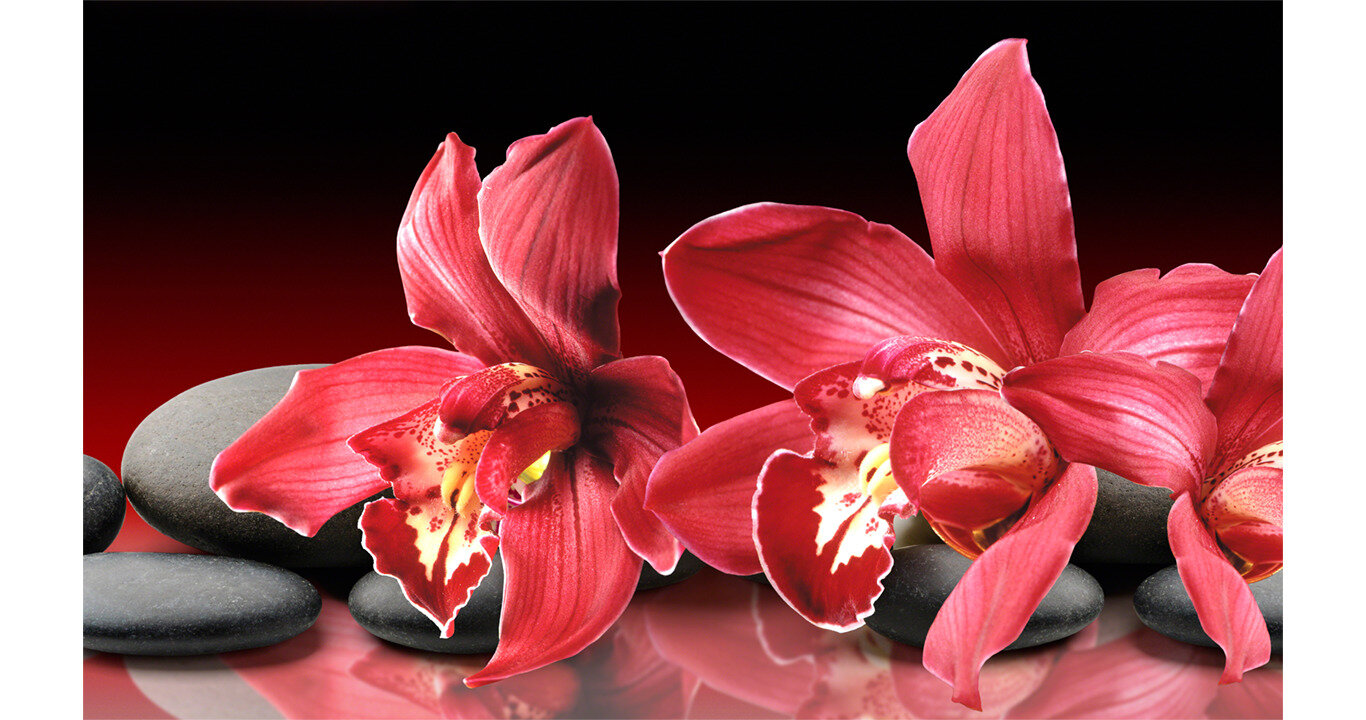 Кухонный фартук"Красные орхидеи на камнях 41" 1000*600мм, АБС пластик, фотопечать