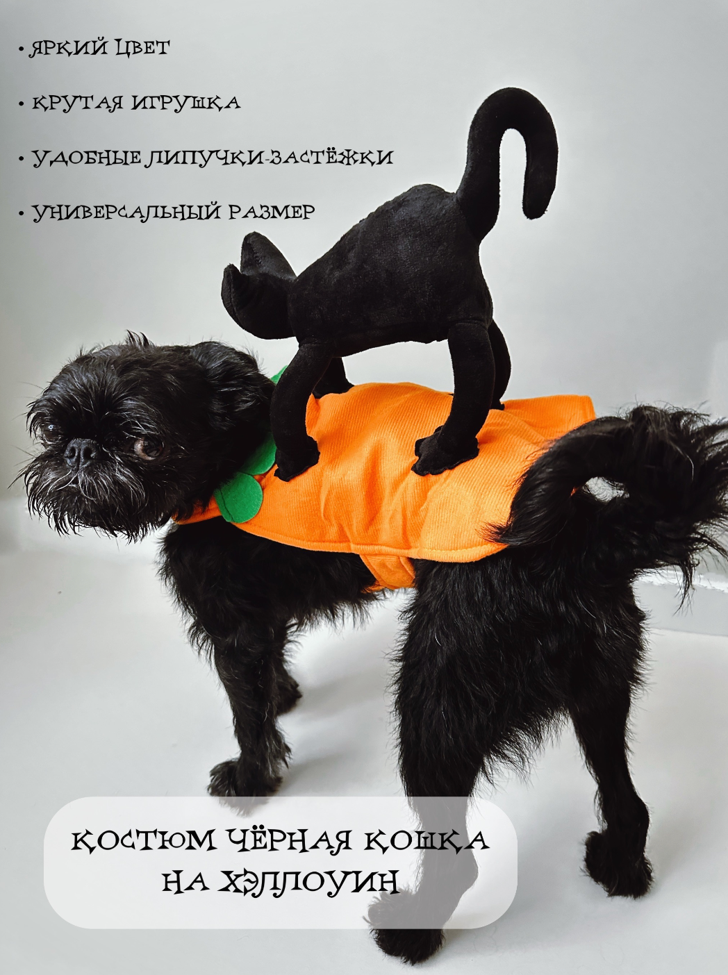 "Черный кот" - костюм для Хэллоуина для кошек и собак - фотография № 1