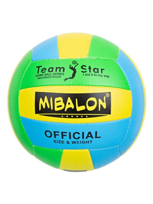 Волейбольный мяч Wilson AVP