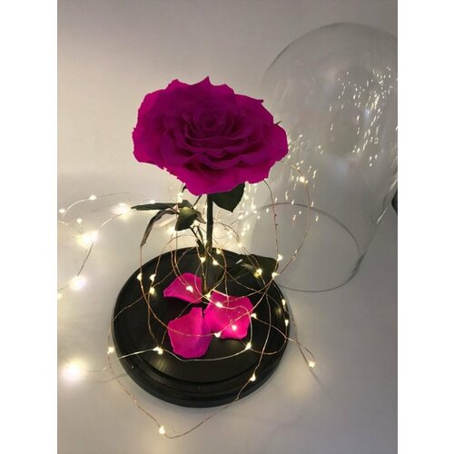 Стабилизированная роза В колбе С подсветкой статуэтка
