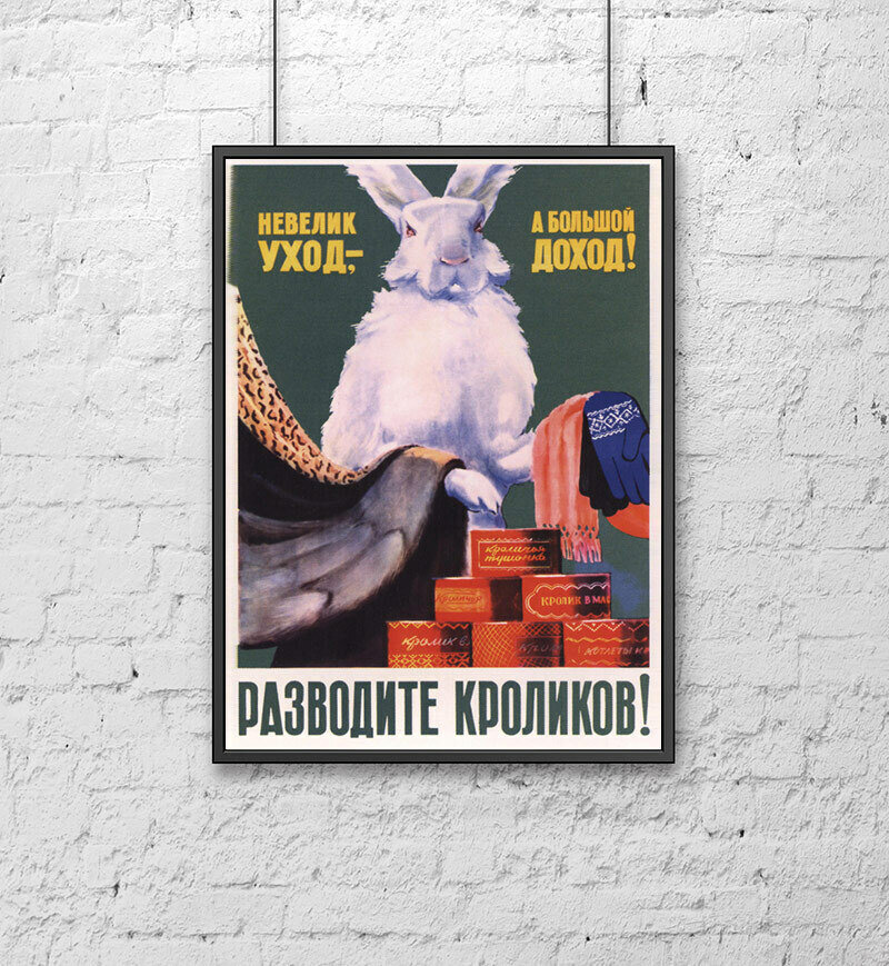 Ретро СССР плакат (30х40 см). Разводите кроликов!
