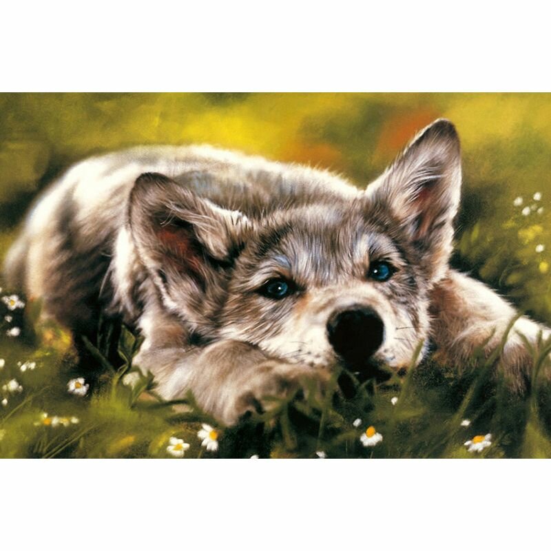 Картина стразами Алмазное хобби "Волчонок", полная выкладка, холст на клеевой основе
