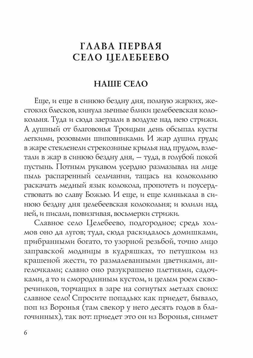 Книга Серебряный голубь (Белый Андрей) - фото №7